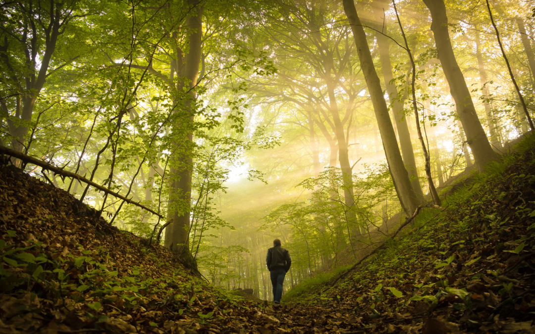 How to align your decisions with your values when all choices seem wrong