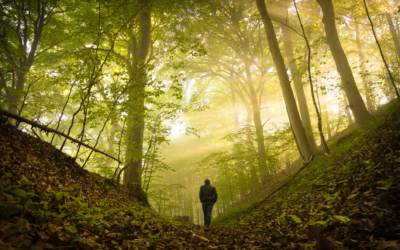 How to align your decisions with your values when all choices seem wrong