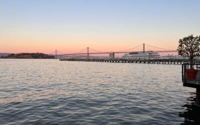 Susurros del corazón: Distinguishing gut feelings from emotional wisdom