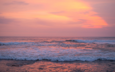 The Psychology of Playing It Safe